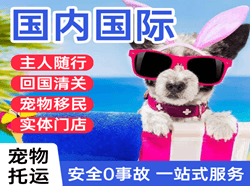 中卫沙坡头机场邮寄国际宠物托运 【国